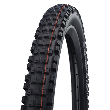 Schwalbe Eddy Current Rear