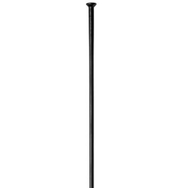 Kit de 20 rayons DT Swiss...
