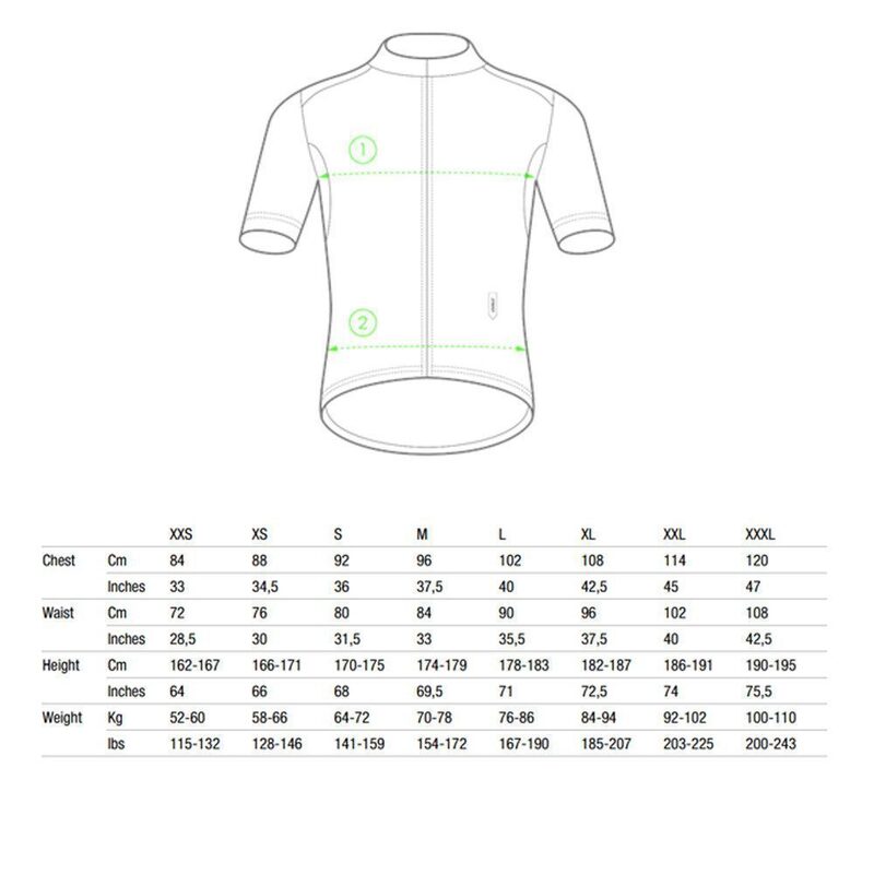 Maillot vélo manches courtes Q36.5 L1 Pinstripe X 2022
