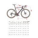 Vélo route Wilier Filante SLR Disc Ultegra Di2 roues RS171 rouge