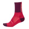 Calcetines de mujer ciclismo Endura Women's BaaBaa Merino Winter Sock 2023