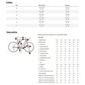 Kit cadre vélo cyclo-cross Trek Boone Disc Carbon Smoke/Lithium Grey/Trek Black 2023