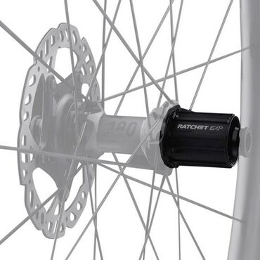 Núcleo FFW Ratchet Campagnolo