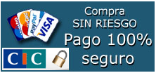 pago seguro